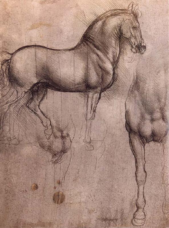 LEONARDO da Vinci Studies of horses Sweden oil painting art